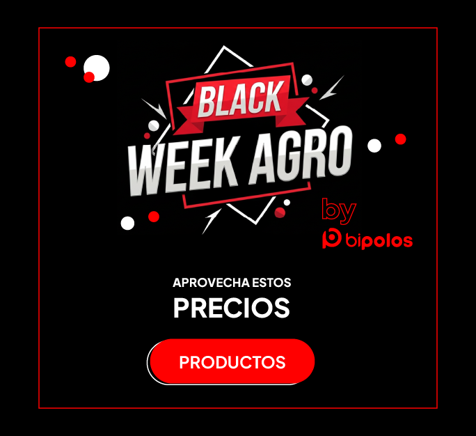 BLACK WEEK